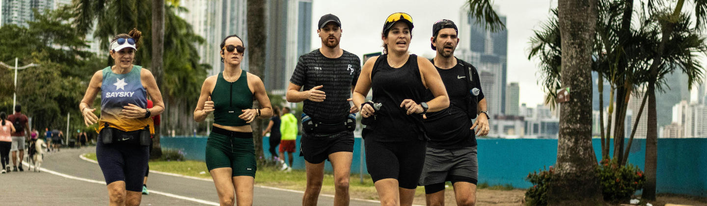 HorizonPeak Organizers